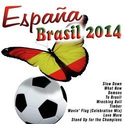 España - Brasil 2014