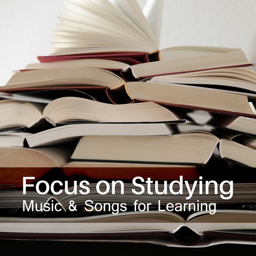 Focus on Studying (Music & Songs for Learning – Stress Relief, Reading and Concentration, Easy Memorizing & Increase Mind Ability)_poster_image