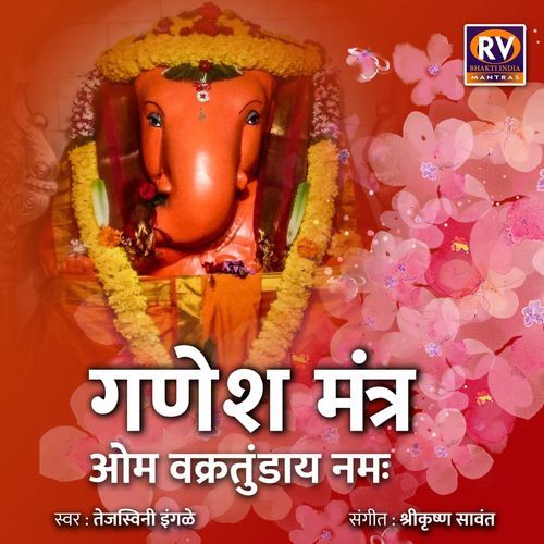 Ganesh Mantra Om Vakratundaya Namah