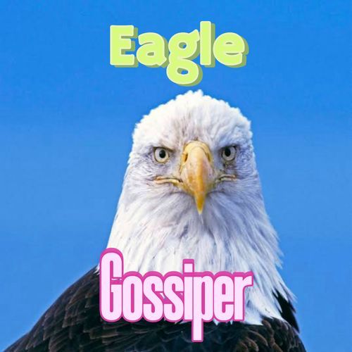 Gossiper