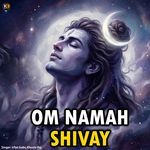 Om Namah  Shivay
