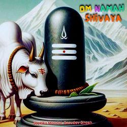 Om Namay Shivaya-PV0Tdw1oaAM