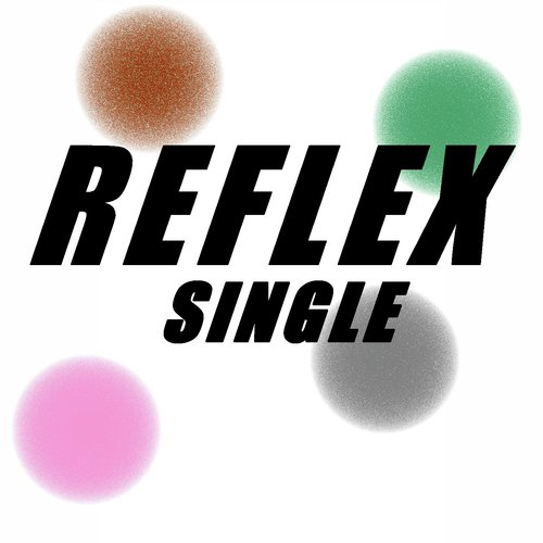 Single reflex