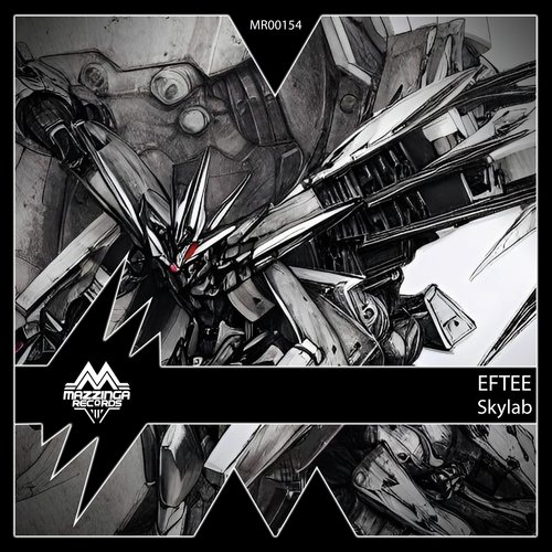 Skylab cover art