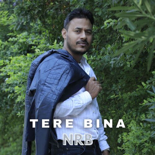 TERE BINA