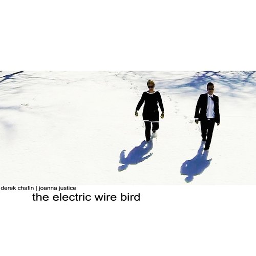The Electric Wire Bird