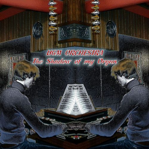 The Shadow of My Organ cover art
