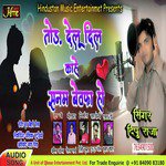 Tod Delu Dil Kahe Sanam Bewfa Ho (Bhojpuri Sad Song)