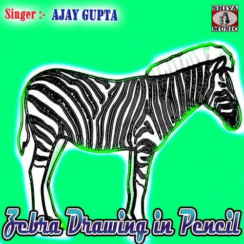 Learn How to Draw a Cartoon Zebra Cartoon Animals Step by Step  Drawing  Tutorials