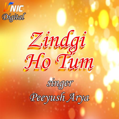 Zindgi Ho Tum