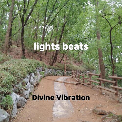 lights beats cover art