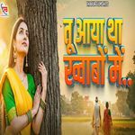 tu aaya tha khwabon mein