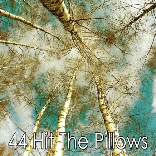 44 Hit the Pillows