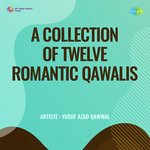 A Collection Of Twelve Romantic Qawalis