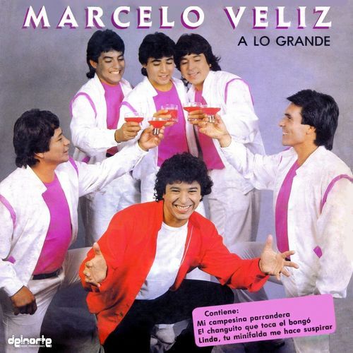 Enganchados / Me Dejaste Solo Y Sin Tu Amor / Caminito A San GIl / Silvia Raquel / Yo Te Canto Santiago Lindo cover art