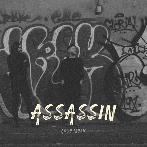 ASSASSIN