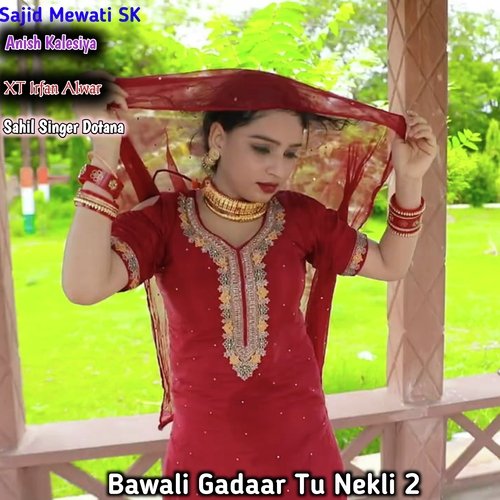 Bawali Gadaar Tu Nekli 2