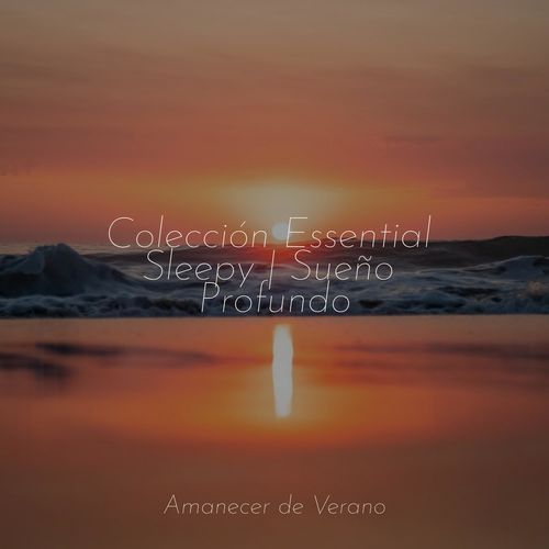 Colección Essential Sleepy | Sueño Profundo