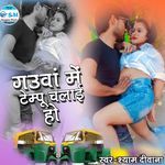 Gaon Mein Tempo Chalai Ho