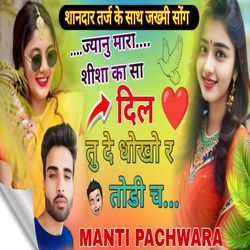 Jyanu Mara Sheesha Ka Sa Dil Tu De Dhokho R Todi Ch