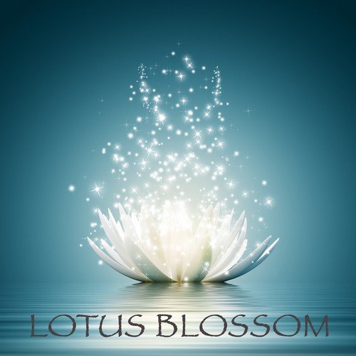 Flute Music cover art