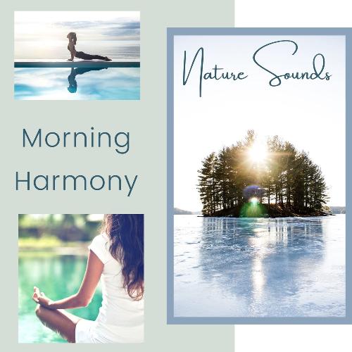 Morning Harmony