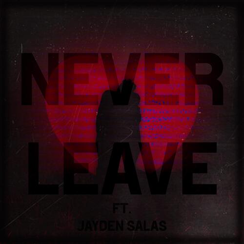 Never Leave (feat. Jayden Salas)_poster_image