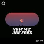 Now We Are Free (House)