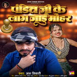 Pandit Ji Ke Lag Jaee Mohar