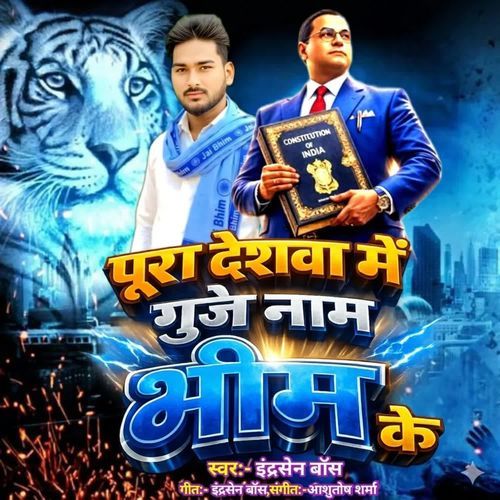 Pura Deshwa Me Gunje Naam Bhim Ke