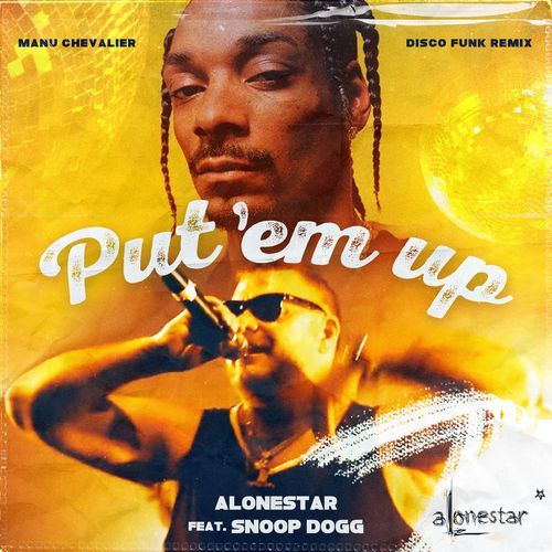 Put 'Em Up (feat. Snoop Dogg) (Disco Funk Remix) cover art