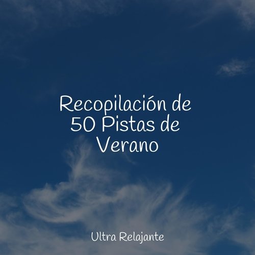 Recopilación de 50 Pistas de Verano