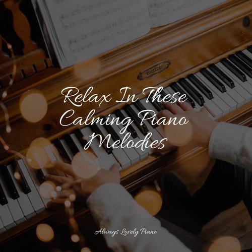 Relax In These Calming Piano Melodies