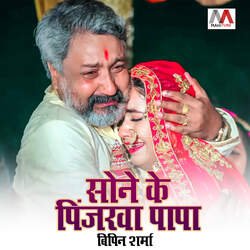 Sone Ke Pinjarwa Papa-BRoTCRlbeWU