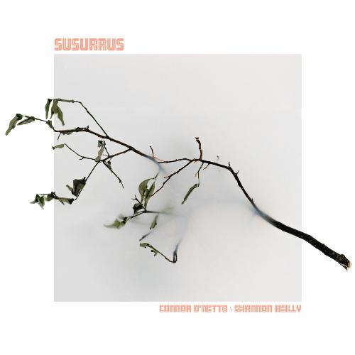 susurrus (Josh Wareham remix) cover art