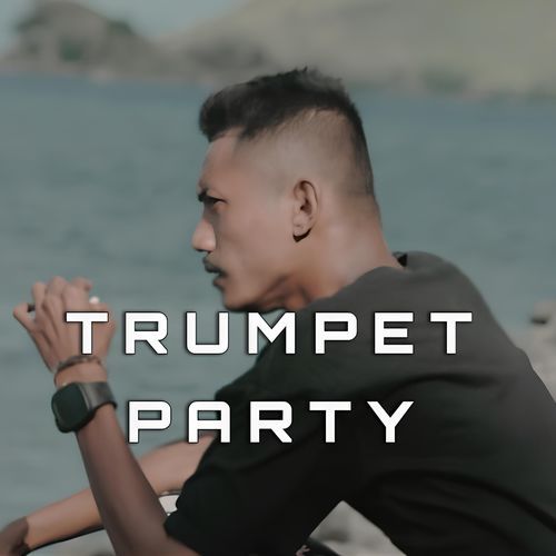 TRUMPET PARTY (Remix) cover art