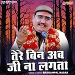 Tere Bin Ab Ji Naa Lagta