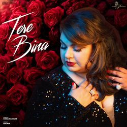 Tere Bina