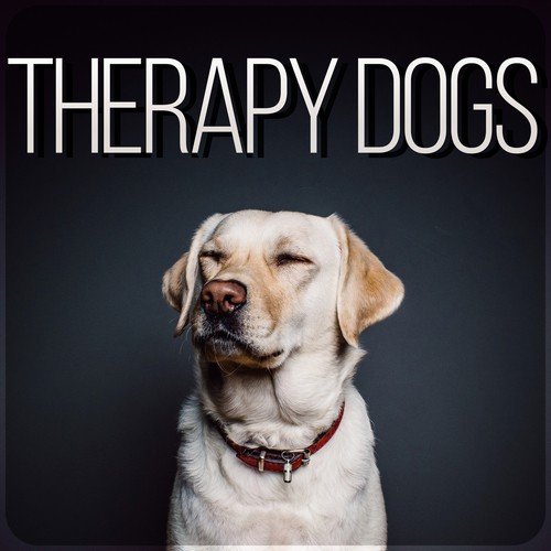 Therapy Dogs – Calm Down Your Animal Companion, Music Therapy for Dogs, Sleep Aids, Pet Relaxation, Stress Relief