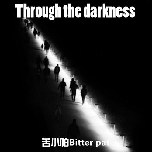 Through the darkness cover art