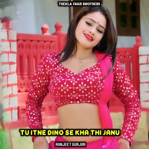 Tu Itne Dino Se Kha Thi Janu