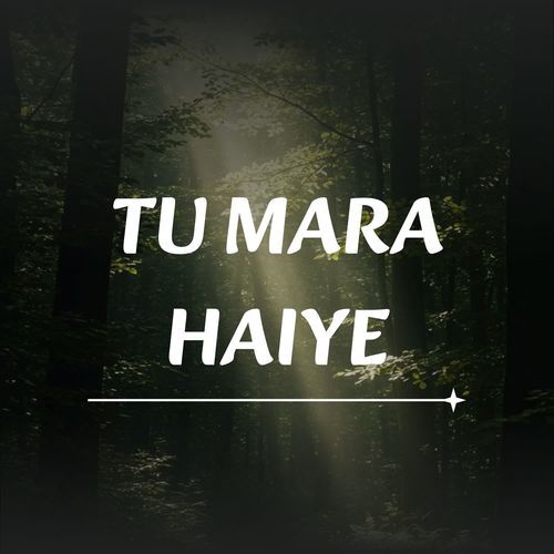 Tu Mara Haiye