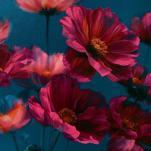 Cosmos in Bloom