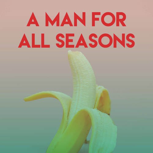 A Man for All Seasons_poster_image