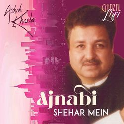 Ajnabi Shehar Mein (Ghazal Lofi)-PB0TaSB8elE