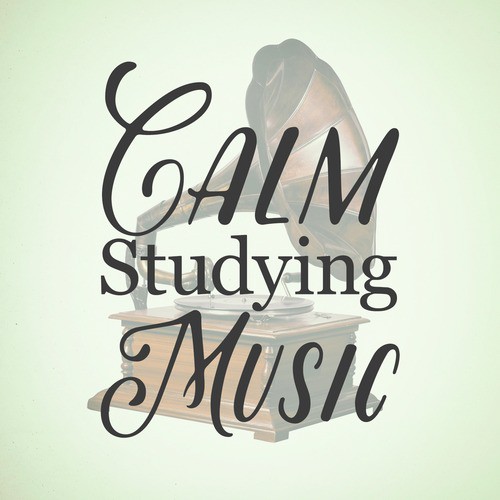 Calm Studying Music_poster_image