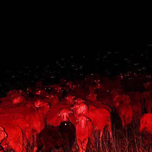 Cemetery cover art