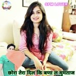 Chora Tera Dil Ki Bana Le Mumtaz
