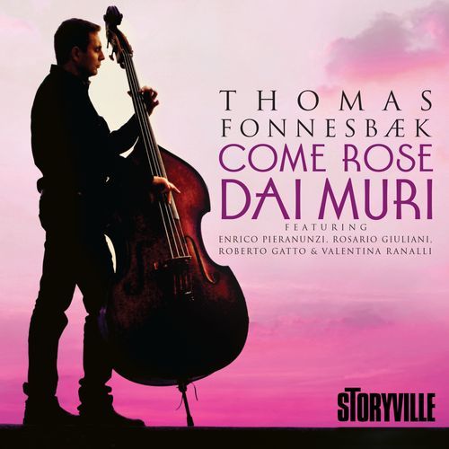 Come Rose Dai Muri_poster_image