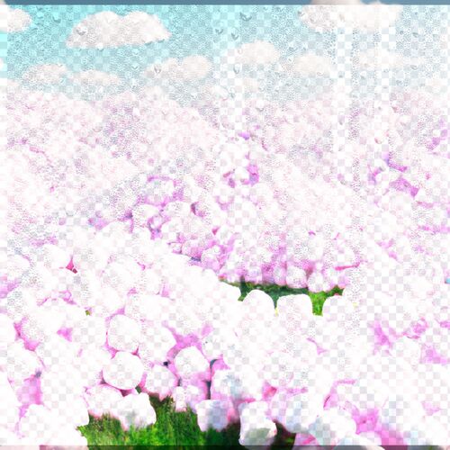 Cry cover art